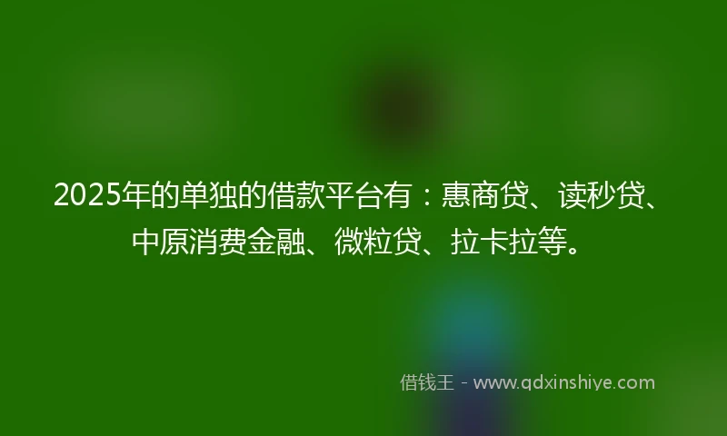 2025年的单独的借款平台有：惠商贷、读秒贷、中原消费金融、微粒贷、拉卡拉等。