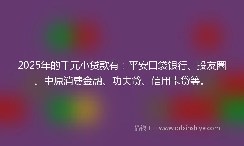 2025年的千元小贷款有：平安口袋银行、投友圈、中原消费金融、功夫贷、信用卡贷等。