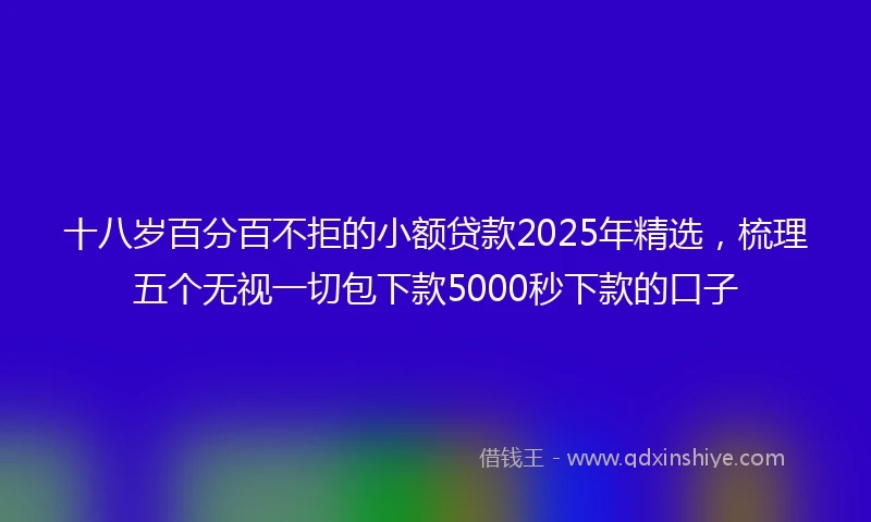 十八岁百分百不拒的小额贷款2025年精选，梳理五个无视一切包下款5000秒下款的口子