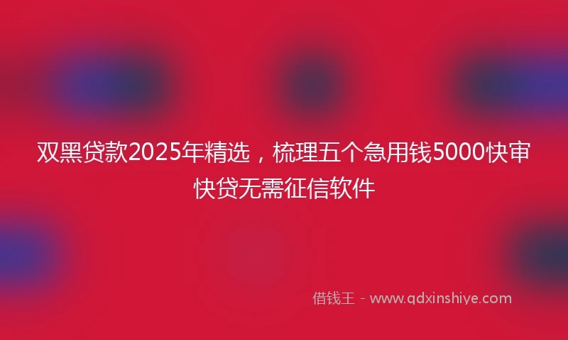 双黑贷款2025年精选，梳理五个急用钱5000快审快贷无需征信软件
