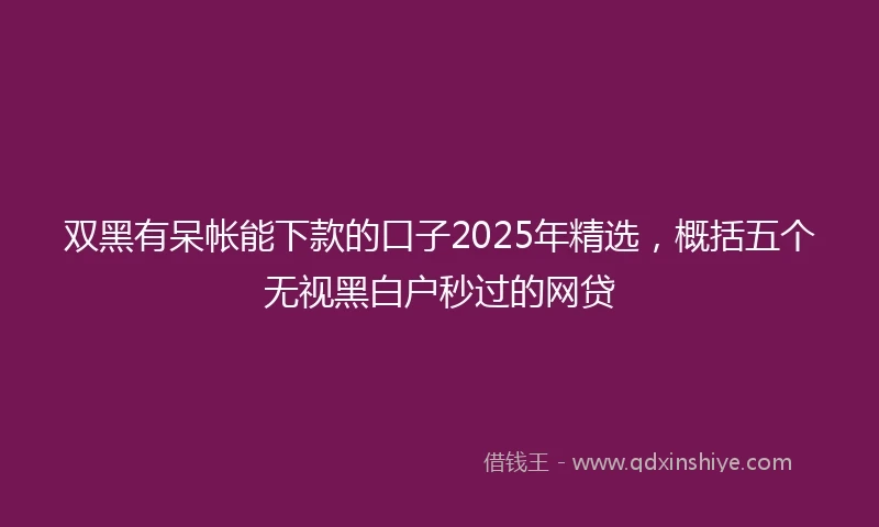 双黑有呆帐能下款的口子2025年精选，概括五个无视黑白户秒过的网贷