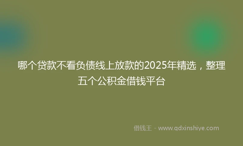 哪个贷款不看负债线上放款的2025年精选，整理五个公积金借钱平台