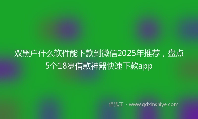 双黑户什么软件能下款到微信2025年推荐，盘点5个18岁借款神器快速下款app