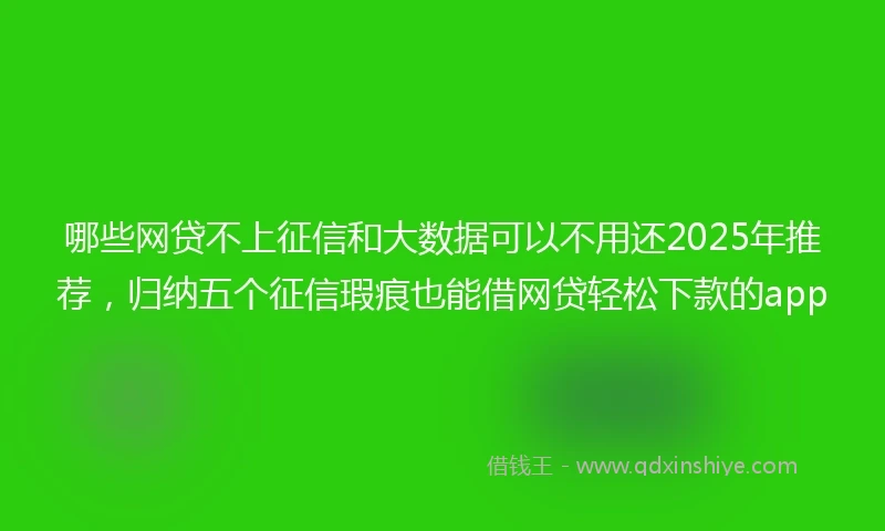 哪些网贷不上征信和大数据可以不用还2025年推荐，归纳五个征信瑕疵也能借网贷轻松下款的app