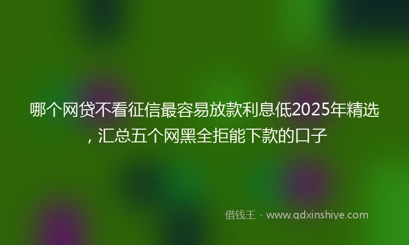 哪个网贷不看征信最容易放款利息低2025年精选，汇总五个网黑全拒能下款的口子
