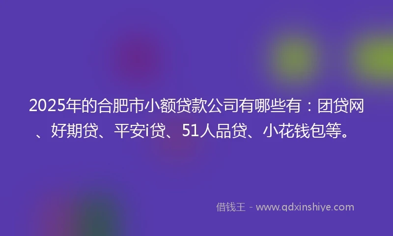 2025年的合肥市小额贷款公司有哪些有：团贷网、好期贷、平安i贷、51人品贷、小花钱包等。