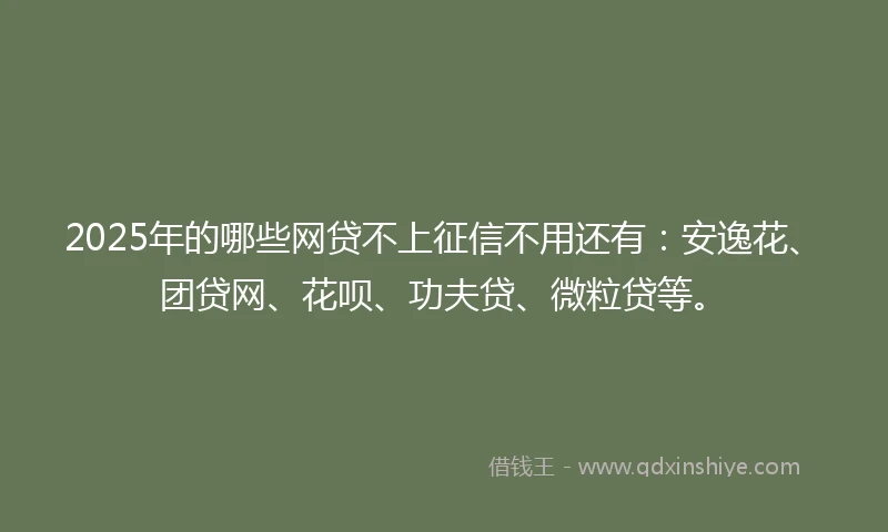 2025年的哪些网贷不上征信不用还有：安逸花、团贷网、花呗、功夫贷、微粒贷等。