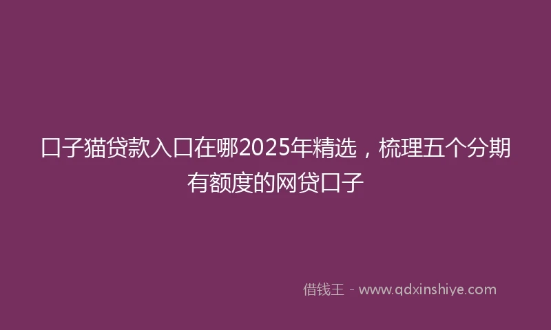 口子猫贷款入口在哪2025年精选,梳理五个分期有额度的网贷口子