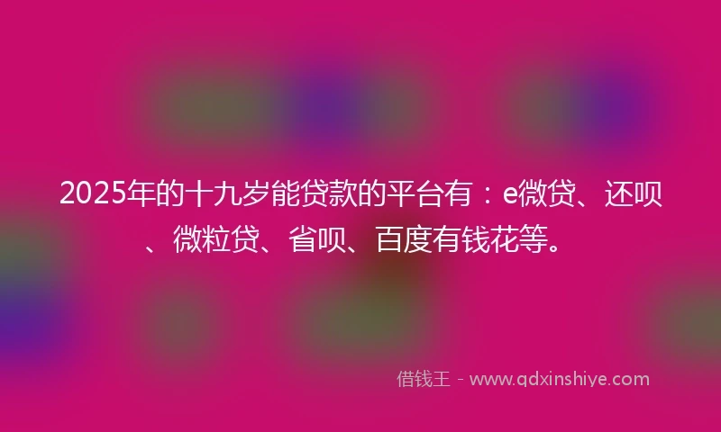 2025年的十九岁能贷款的平台有：e微贷、还呗、微粒贷、省呗、百度有钱花等。
