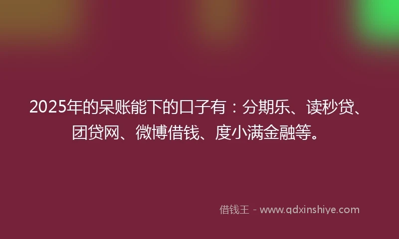 2025年的呆账能下的口子有：分期乐、读秒贷、团贷网、微博借钱、度小满金融等。