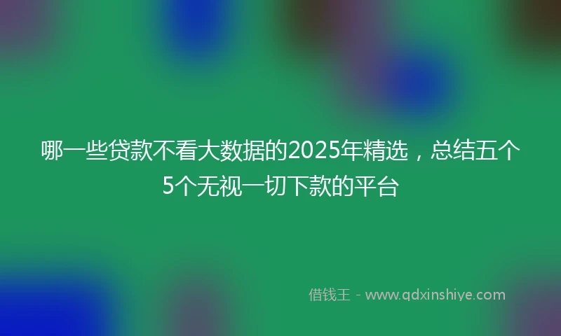 哪一些贷款不看大数据的2025年精选，总结五个5个无视一切下款的平台