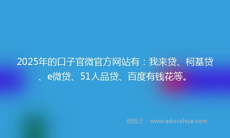 2025年的口子官微官方网站有：我来贷、柯基贷、e微贷、51人品贷、百度有钱花等。