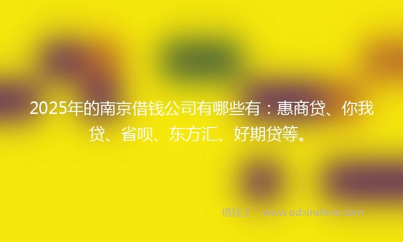 2025年的南京借钱公司有哪些有：惠商贷、你我贷、省呗、东方汇、好期贷等。