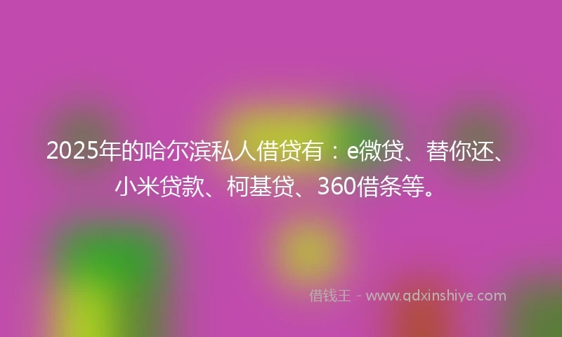 2025年的哈尔滨私人借贷有：e微贷、替你还、小米贷款、柯基贷、360借条等。