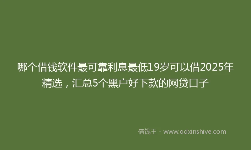 哪个借钱软件最可靠利息最低19岁可以借2025年精选，汇总5个黑户好下款的网贷口子