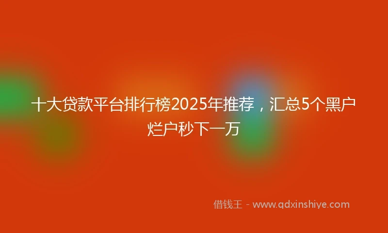 十大贷款平台排行榜2025年推荐，汇总5个黑户烂户秒下一万