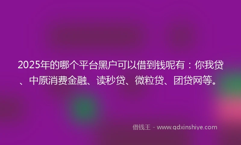 2025年的哪个平台黑户可以借到钱呢有：你我贷、中原消费金融、读秒贷、微粒贷、团贷网等。