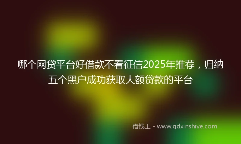 哪个网贷平台好借款不看征信2025年推荐，归纳五个黑户成功获取大额贷款的平台
