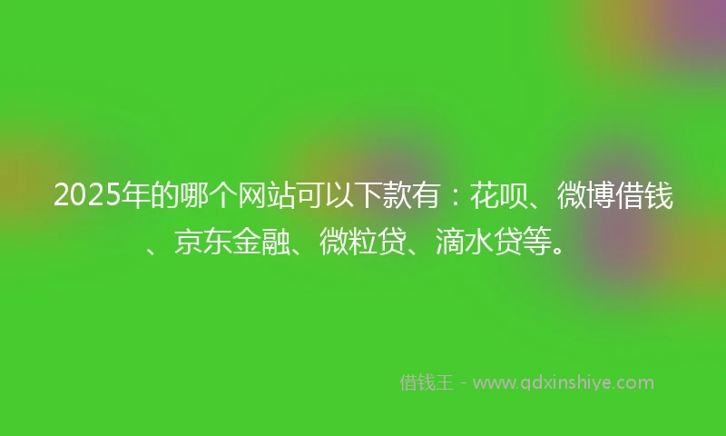 2025年的哪个网站可以下款有：花呗、微博借钱、京东金融、微粒贷、滴水贷等。