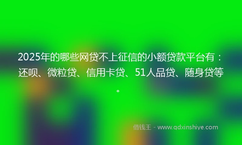 2025年的哪些网贷不上征信的小额贷款平台有：还呗、微粒贷、信用卡贷、51人品贷、随身贷等。