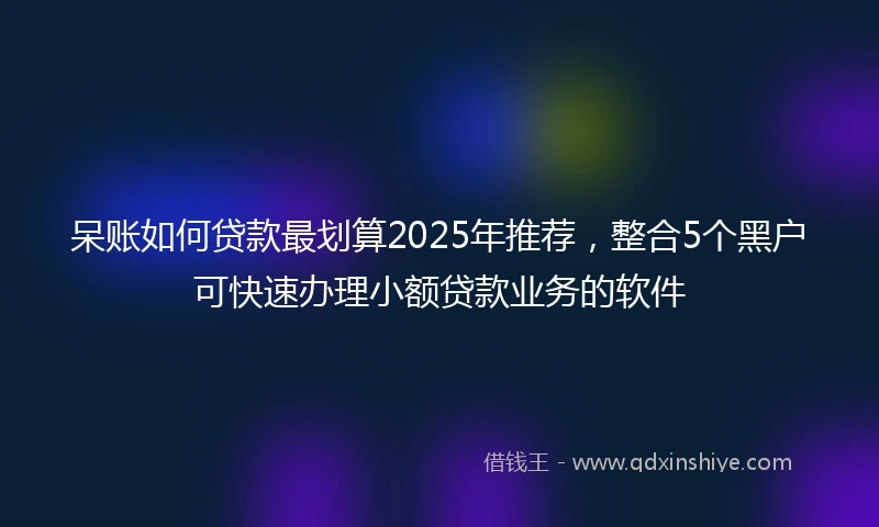 呆账如何贷款最划算2025年推荐，整合5个黑户可快速办理小额贷款业务的软件