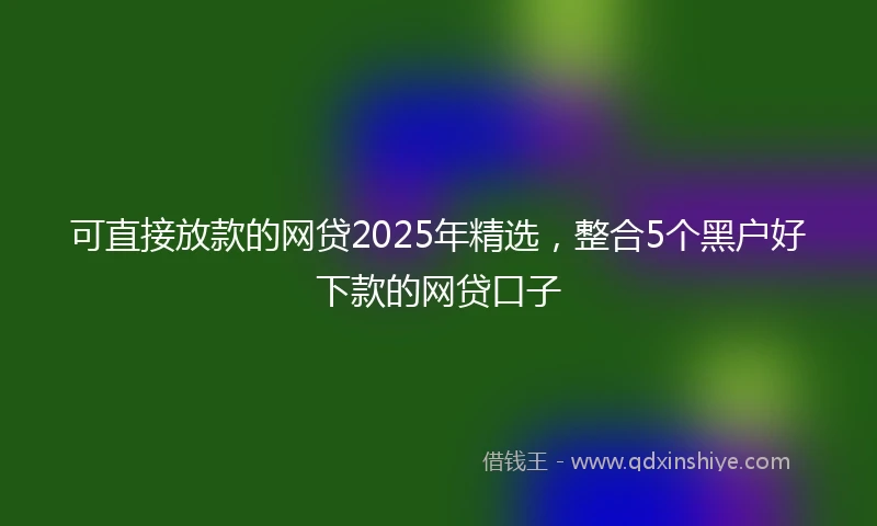 可直接放款的网贷2025年精选,整合5个黑户好下款的网贷口子