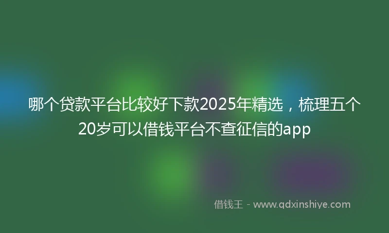 哪个贷款平台比较好下款2025年精选，梳理五个20岁可以借钱平台不查征信的app