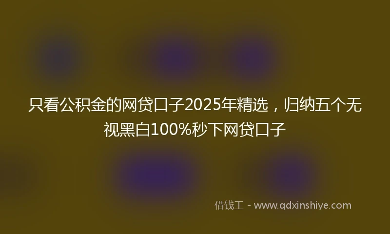 只看公积金的网贷口子2025年精选,归纳五个无视黑白100%秒下网贷口子