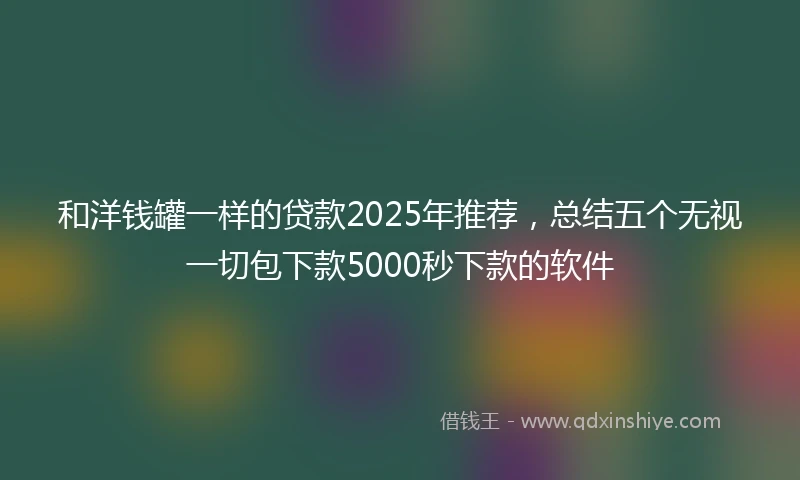 和洋钱罐一样的贷款2025年推荐，总结五个无视一切包下款5000秒下款的软件
