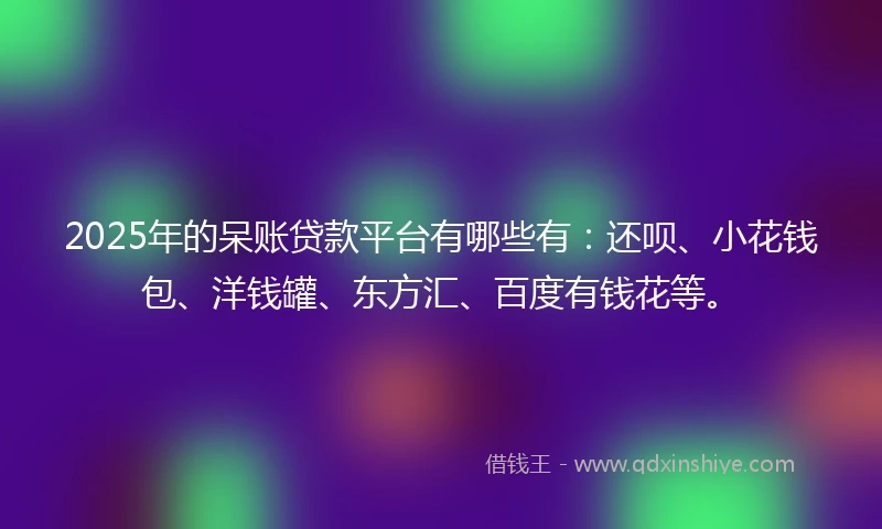 2025年的呆账贷款平台有哪些有：还呗、小花钱包、洋钱罐、东方汇、百度有钱花等。
