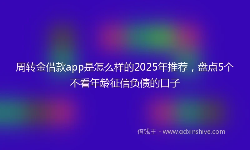 周转金借款app是怎么样的2025年推荐，盘点5个不看年龄征信负债的口子