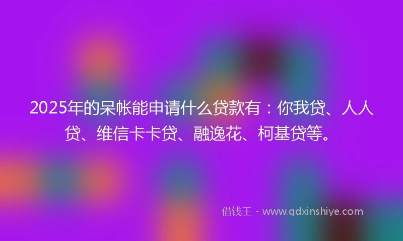 2025年的呆帐能申请什么贷款有：你我贷、人人贷、维信卡卡贷、融逸花、柯基贷等。