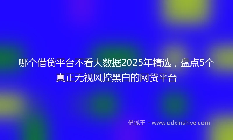 哪个借贷平台不看大数据2025年精选，盘点5个真正无视风控黑白的网贷平台