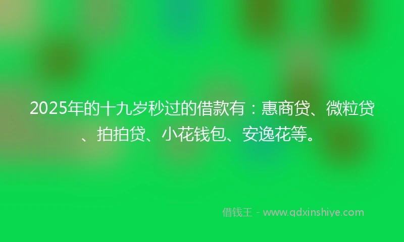 2025年的十九岁秒过的借款有：惠商贷、微粒贷、拍拍贷、小花钱包、安逸花等。