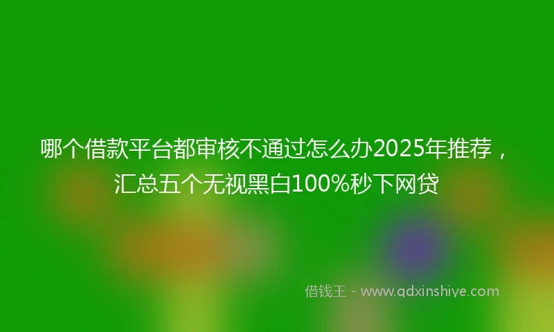 哪个借款平台都审核不通过怎么办2025年推荐，汇总五个无视黑白100%秒下网贷