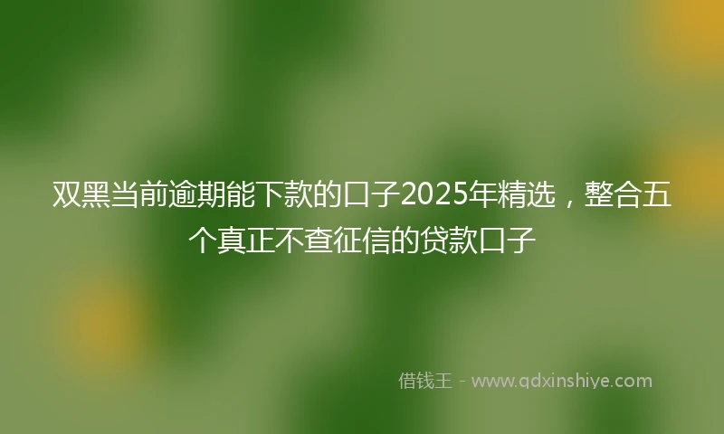双黑当前逾期能下款的口子2025年精选，整合五个真正不查征信的贷款口子