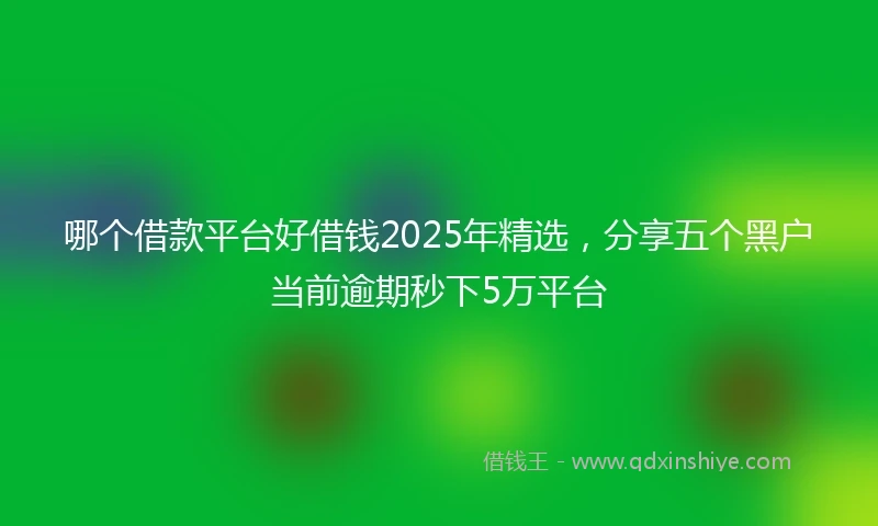 哪个借款平台好借钱2025年精选，分享五个黑户当前逾期秒下5万平台