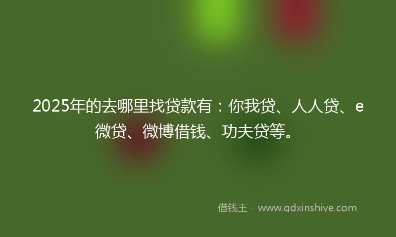 2025年的去哪里找贷款有：你我贷、人人贷、e微贷、微博借钱、功夫贷等。