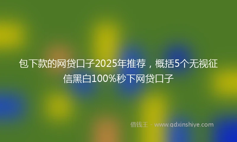 包下款的网贷口子2025年推荐，概括5个无视征信黑白100%秒下网贷口子