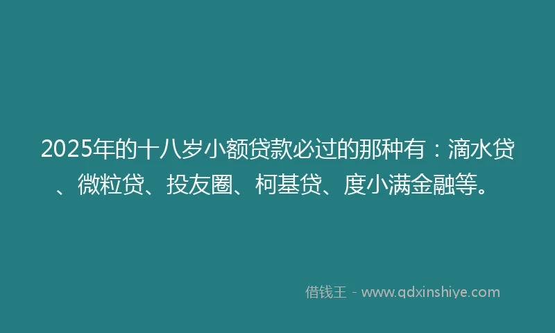 2025年的十八岁小额贷款必过的那种有：滴水贷、微粒贷、投友圈、柯基贷、度小满金融等。