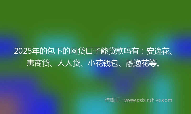 2025年的包下的网贷口子能贷款吗有：安逸花、惠商贷、人人贷、小花钱包、融逸花等。