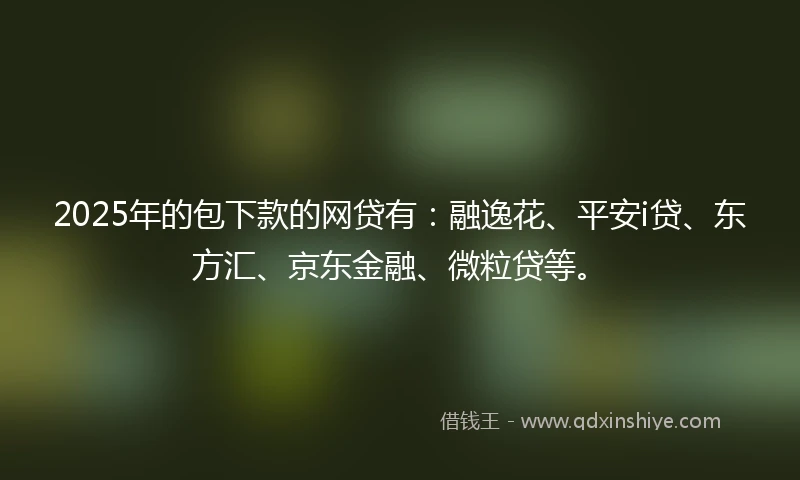 2025年的包下款的网贷有：融逸花、平安i贷、东方汇、京东金融、微粒贷等。