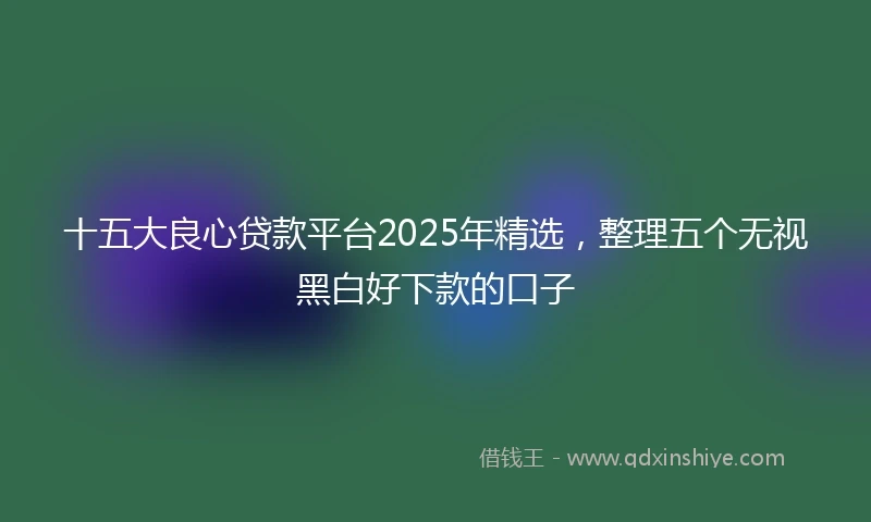 十五大良心贷款平台2025年精选，整理五个无视黑白好下款的口子
