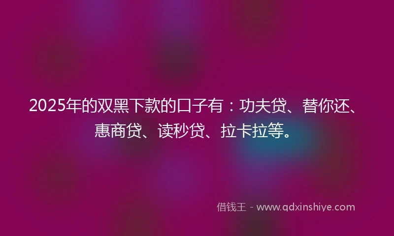 2025年的双黑下款的口子有：功夫贷、替你还、惠商贷、读秒贷、拉卡拉等。