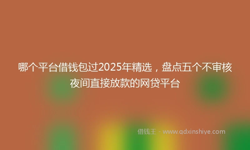 哪个平台借钱包过2025年精选，盘点五个不审核夜间直接放款的网贷平台