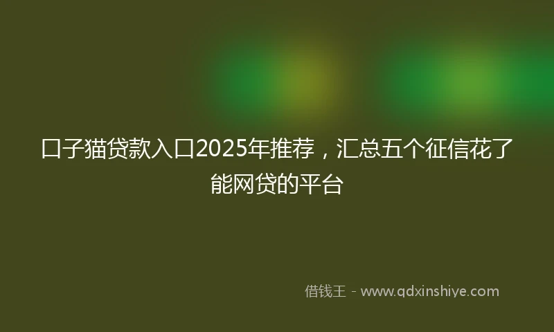口子猫贷款入口2025年推荐，汇总五个征信花了能网贷的平台