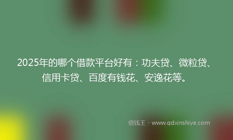 2025年的哪个借款平台好有：功夫贷、微粒贷、信用卡贷、百度有钱花、安逸花等。
