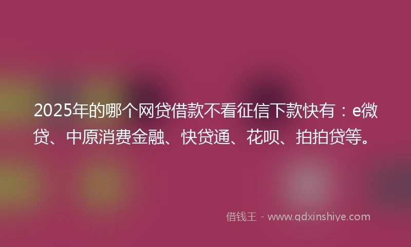 2025年的哪个网贷借款不看征信下款快有：e微贷、中原消费金融、快贷通、花呗、拍拍贷等。