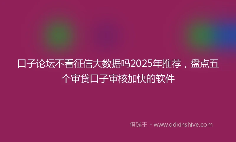 口子论坛不看征信大数据吗2025年推荐，盘点五个审贷口子审核加快的软件