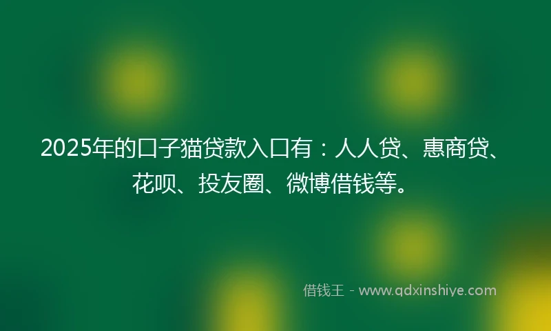 2025年的口子猫贷款入口有：人人贷、惠商贷、花呗、投友圈、微博借钱等。